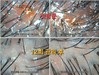 과각질/붉음증/가려움증 안티에이징12회