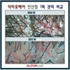 겹겹이 쌓인 각질 , 두피 가려움 , 통증 잡기