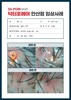 심각한 두피 염증 관리 6개월 후